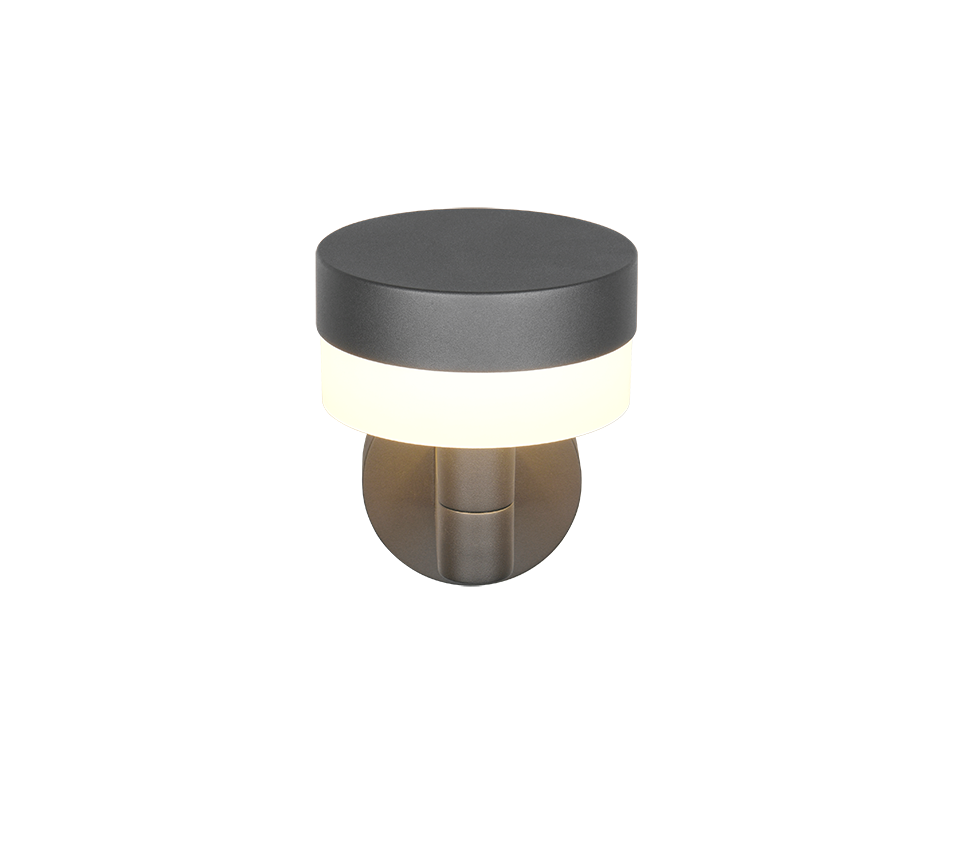 Wandlamp 230569142 Antraciet IP54 MACKENZIE - Afbeelding 4