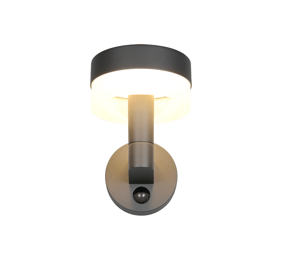 Wandlamp 230569142 Antraciet IP54 MACKENZIE - Afbeelding 5