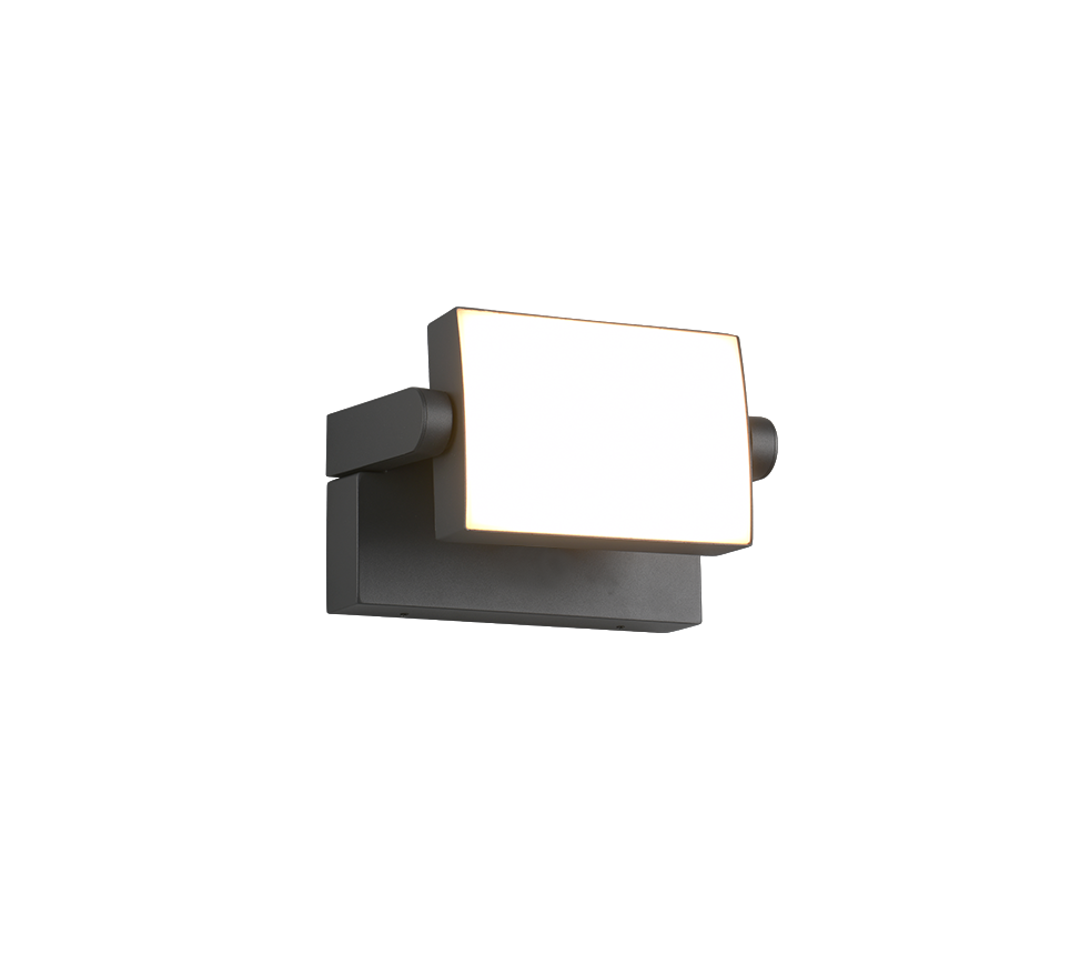 Wandlamp 246860142 Antraciet IP54 KANSAS - Afbeelding 2