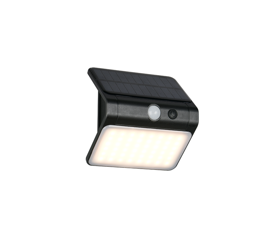 Wandlamp R23156102 Zwart IP44 OLINDA