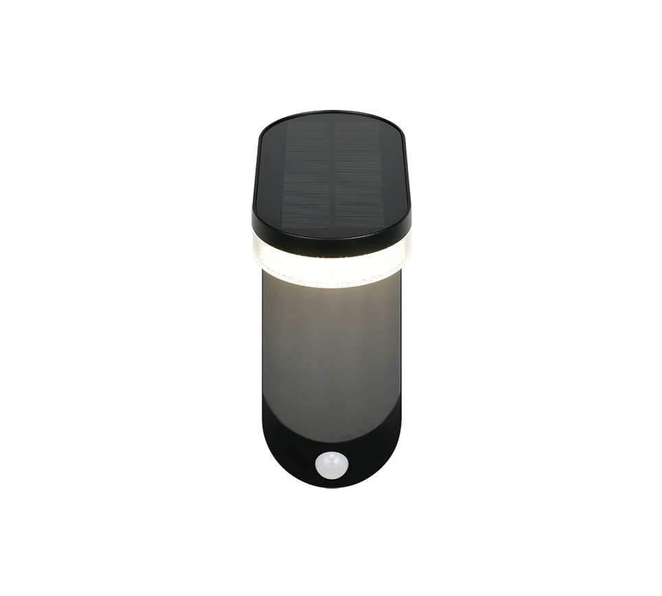 Wandlamp R23176102 Zwart IP44 LAGOAS - Afbeelding 2