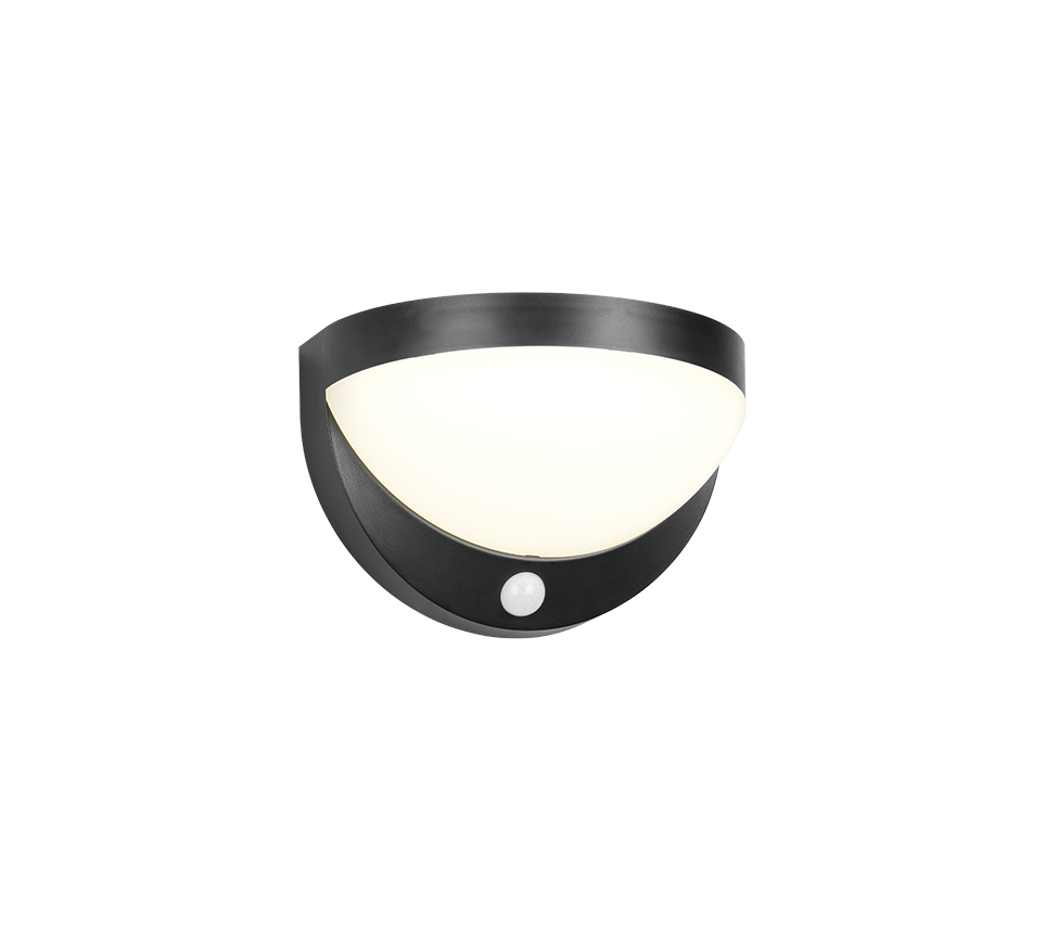 Wandlamp R24716132 Mat zwart IP44 COBRE