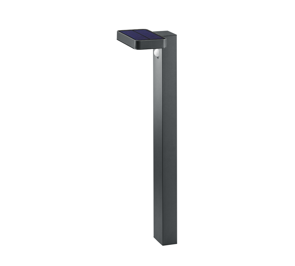 Paal R42261142 Antraciet IP44 ESQUEL