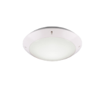 Plafonnière R60501031 Wit mat IP54 CAMARO