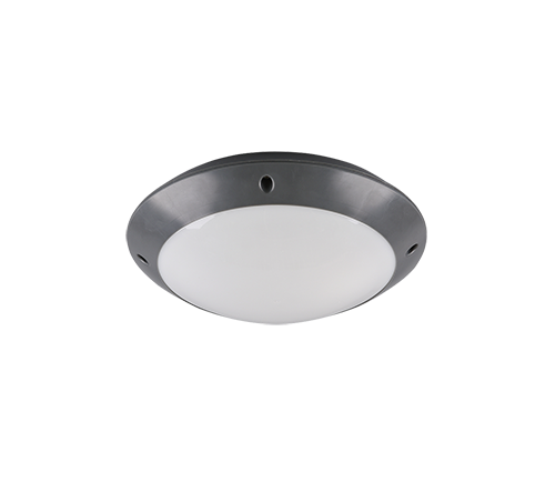Plafonnière R60501042 Antraciet IP54 CAMARO - Afbeelding 2